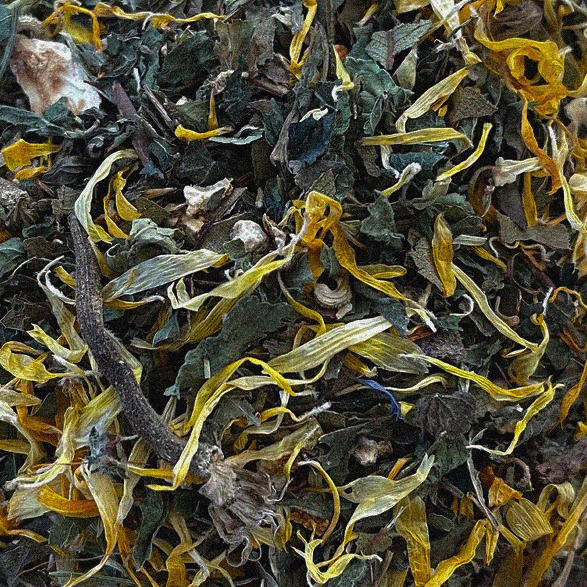 Skin Complexion, Hair and Nails Tea Blend