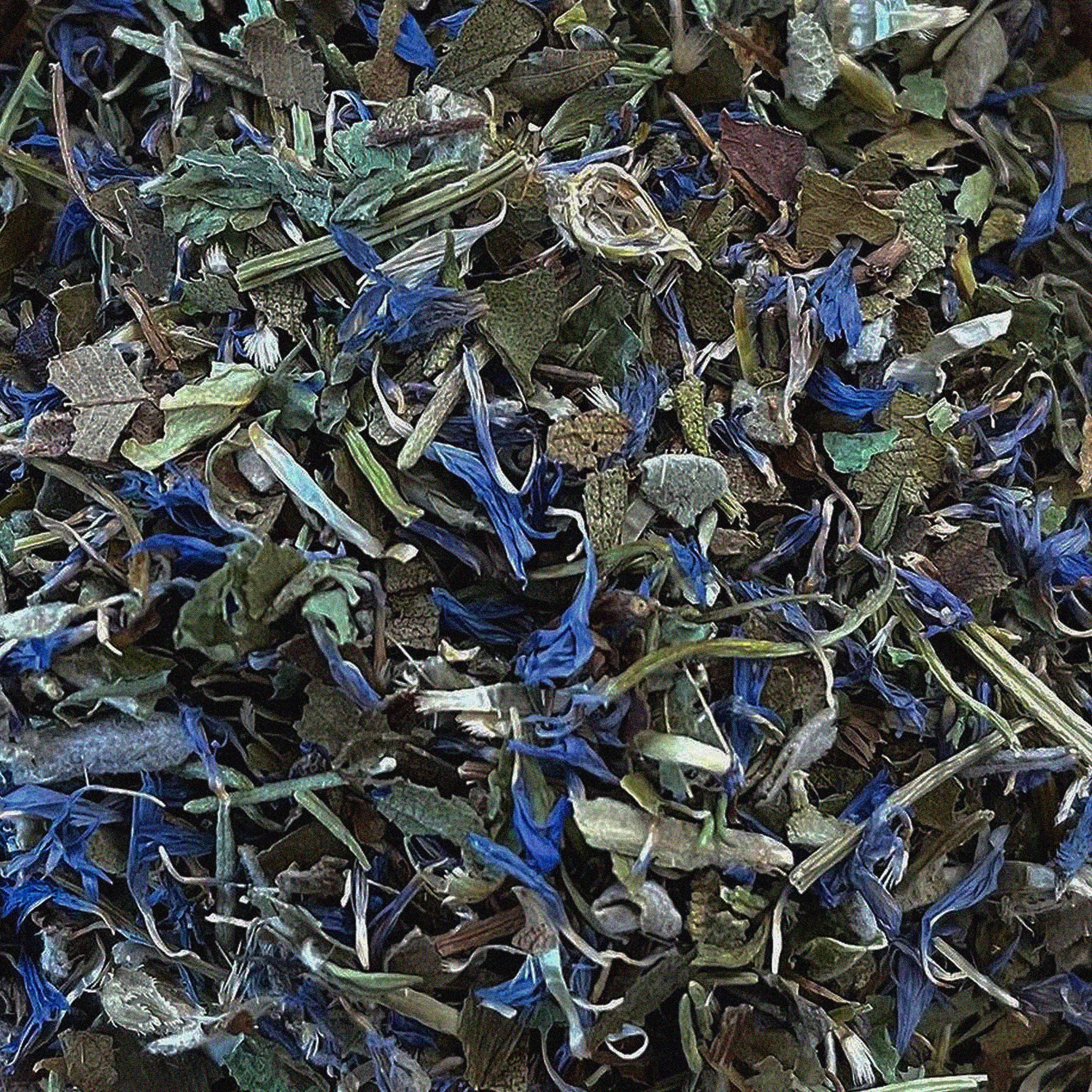 Brain, Memory &amp; Concentration Blend