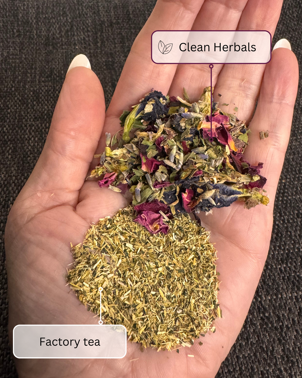 Hormone Balance Tea Blend