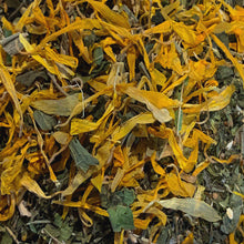 Load image into Gallery viewer, Clean Body Detox Tea