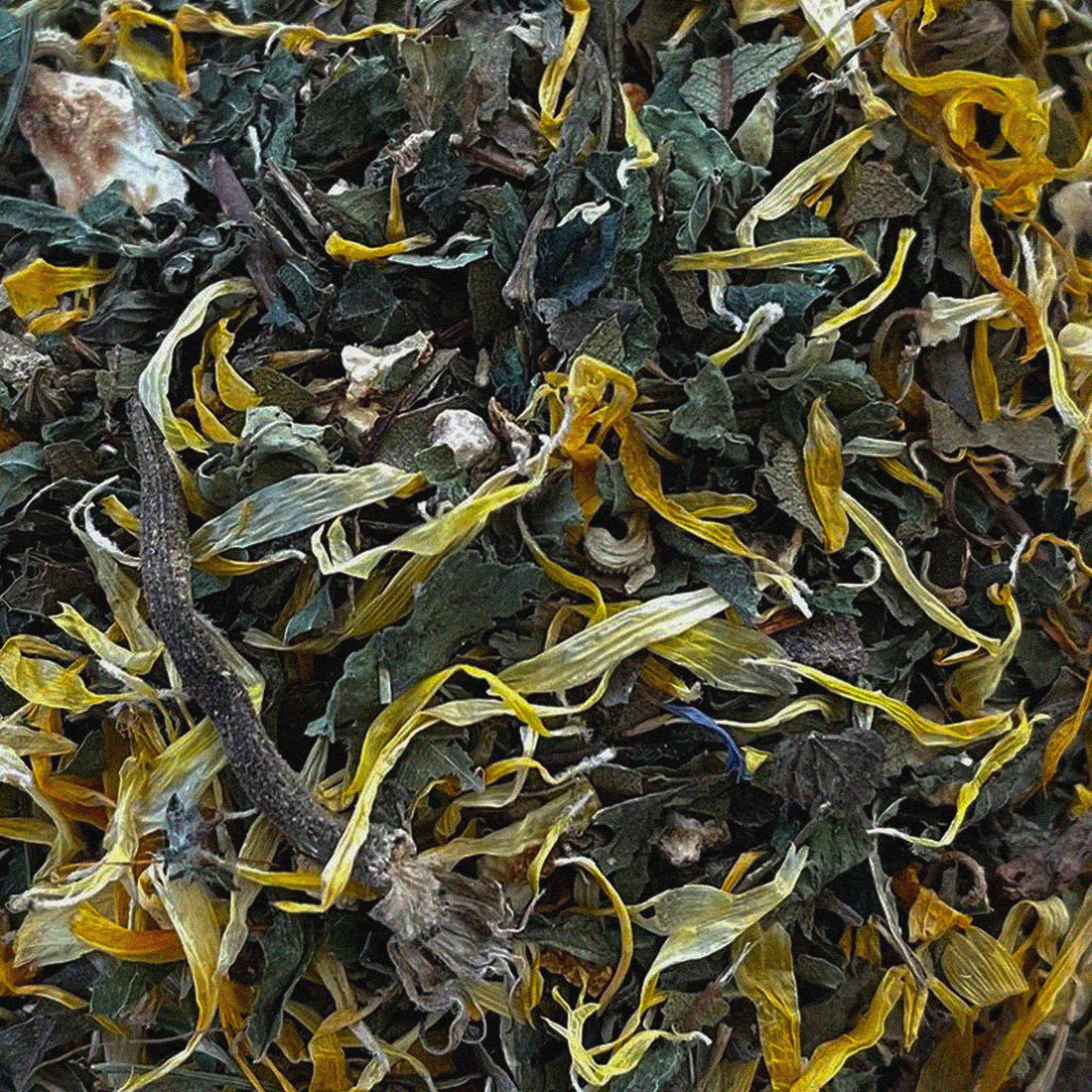 Skin Complexion, Hair and Nails Tea Blend