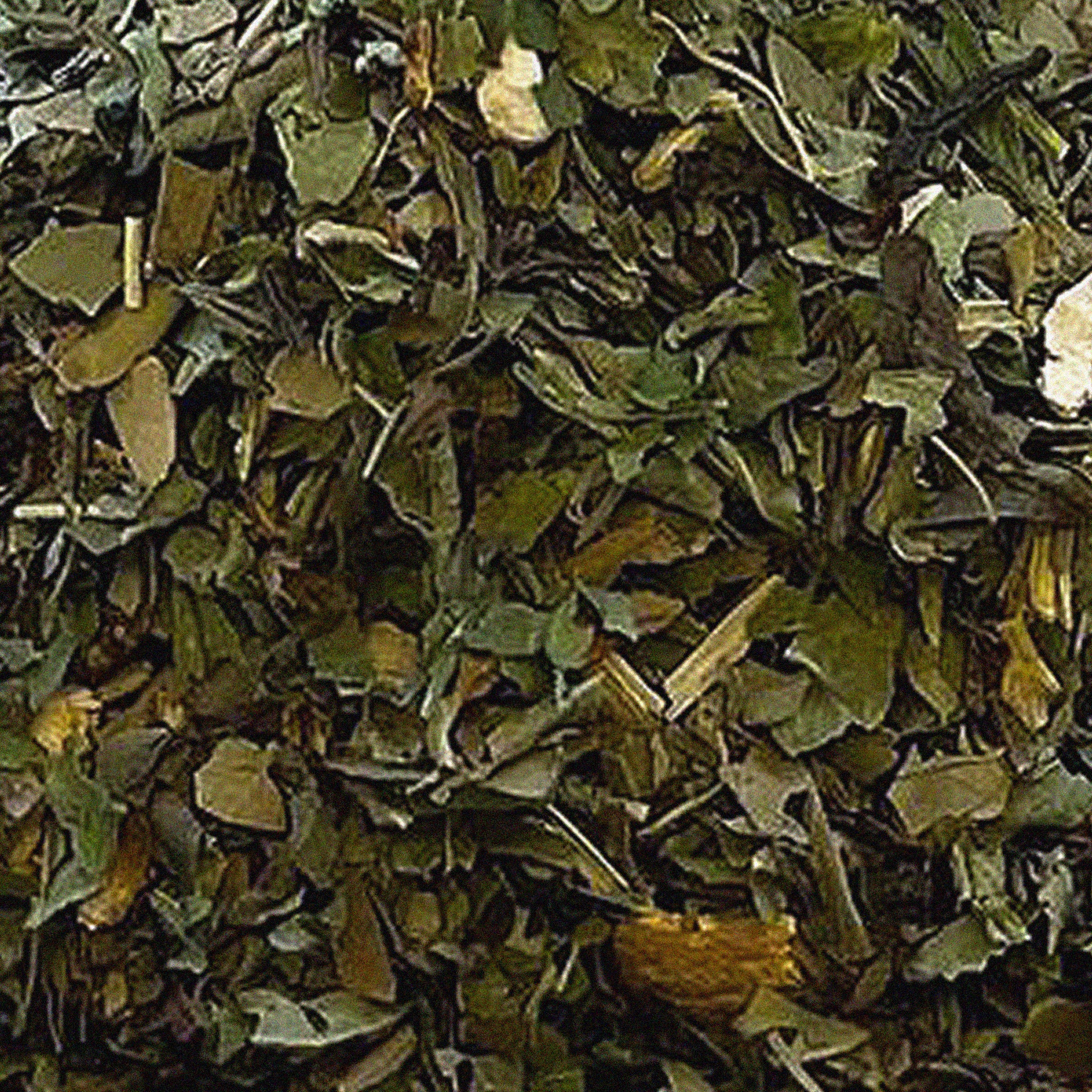 Yerba Mate Energy Tea Blend